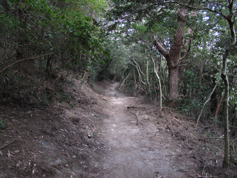 20140922hike (134)